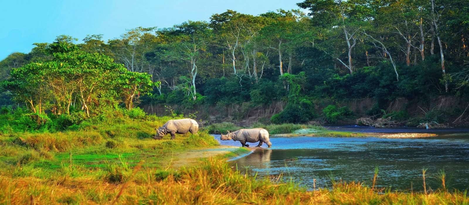 Kathmandu Chitwan Lumbini Pokhara Tour